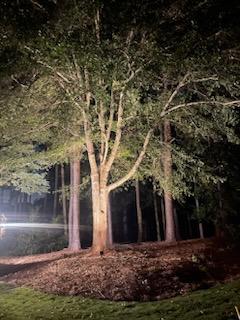 High-quality custom exterior lighting