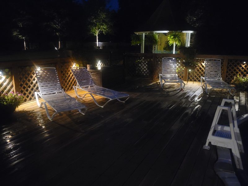 Back Yard Project